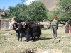 Road from Shigatse to Lhatse