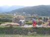 Punakha